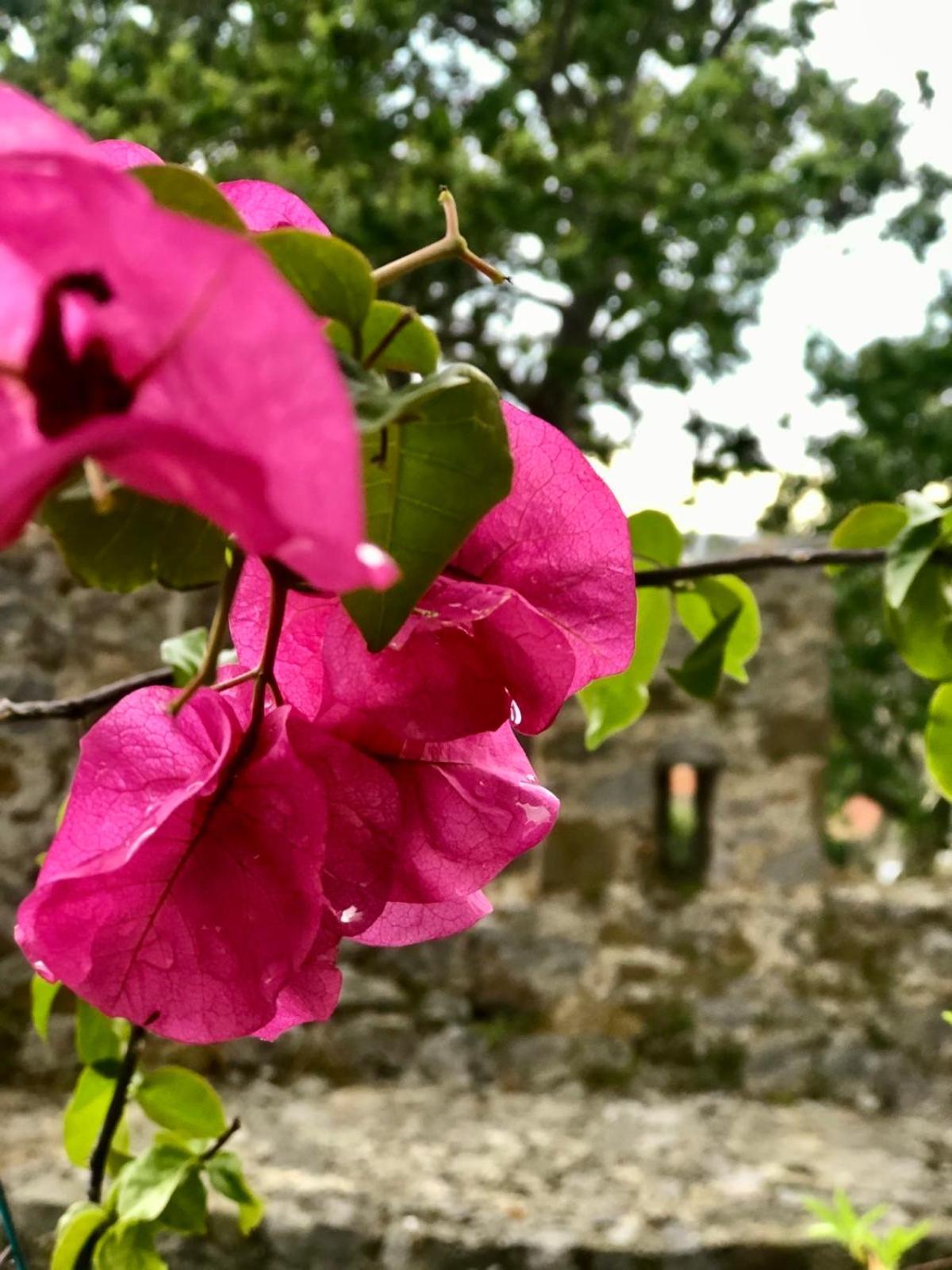 Country house Sideroporta Castle *